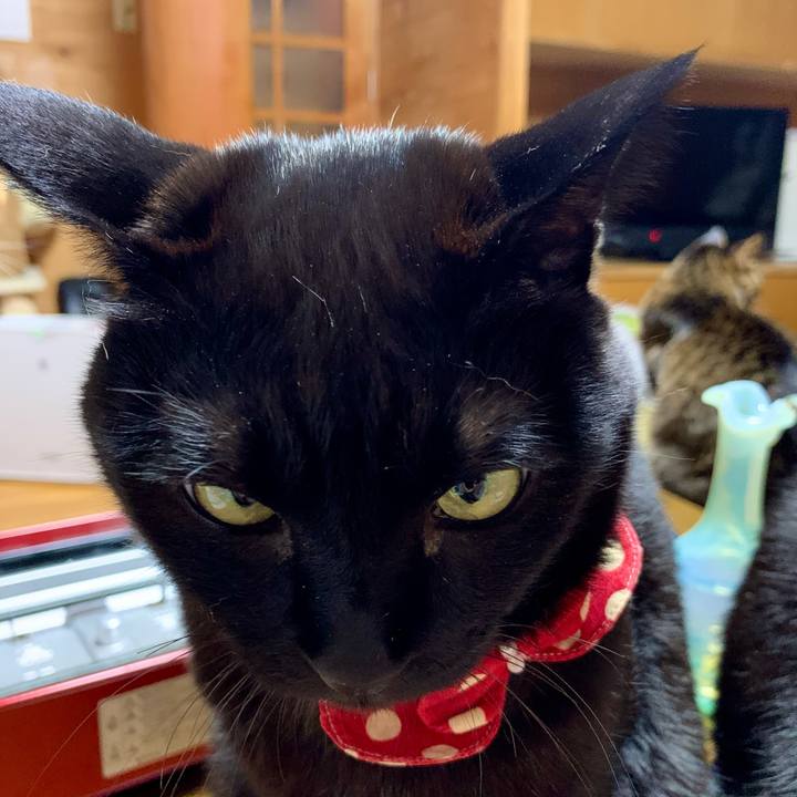 5d190476 1c95 460d beb3 1c5ab60cc418 1610197172184