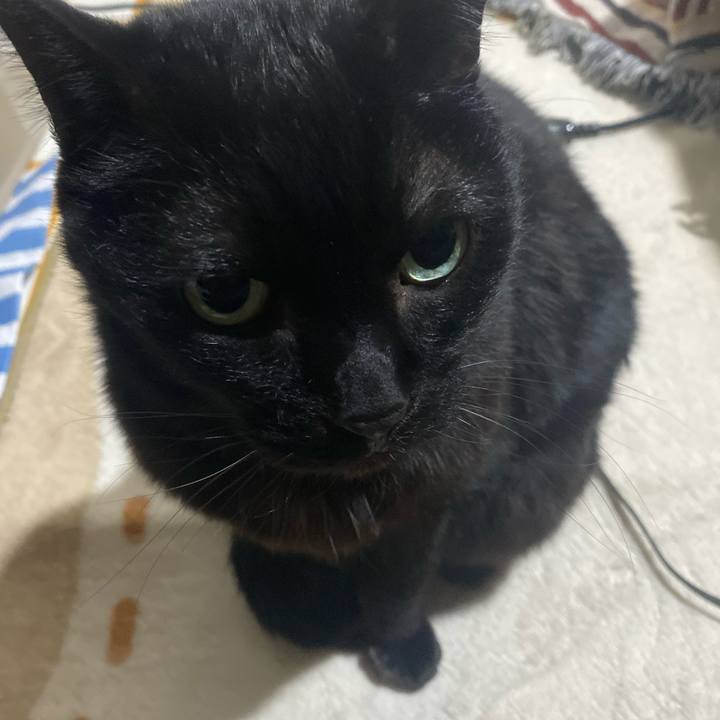 5d192226 fd03 438c 9eb6 1fe9d9aed414 1737557523583