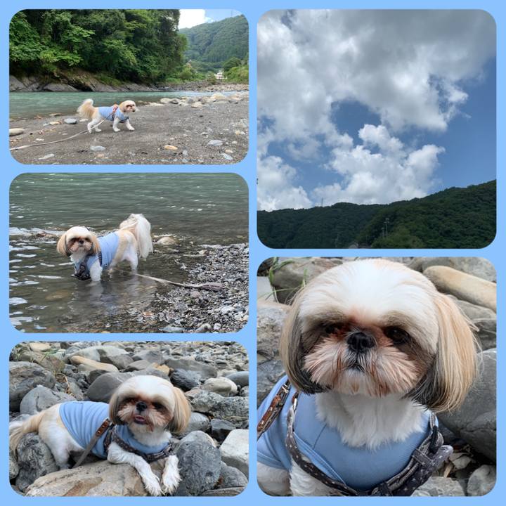 5d196370 4ac4 4610 bac1 94ce0fc1d6db 1627789829558