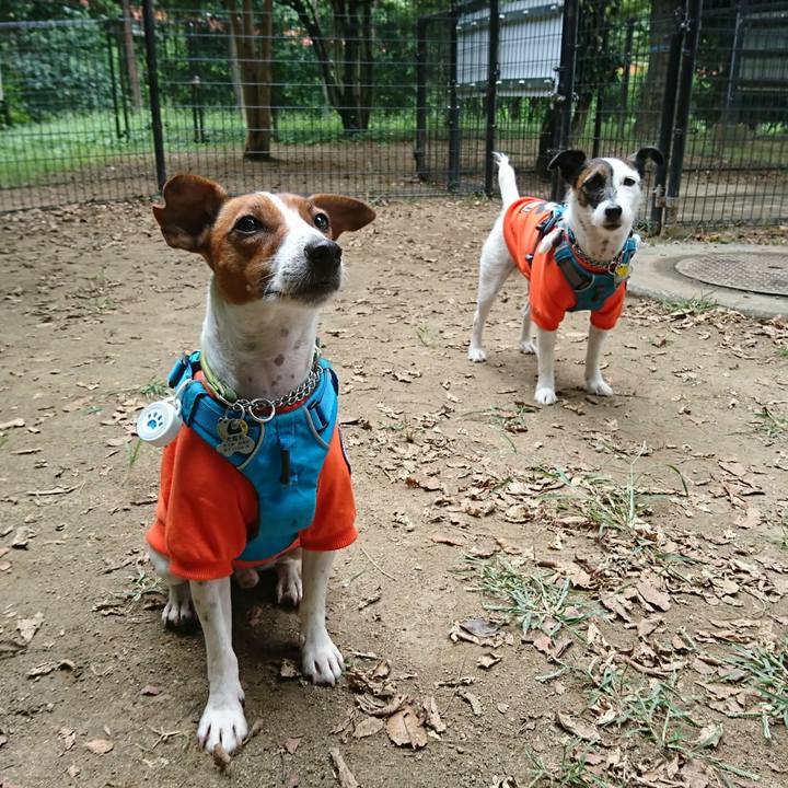 5d196ab9 f4dd 47c8 bd76 08cf34493f27 1569033674100