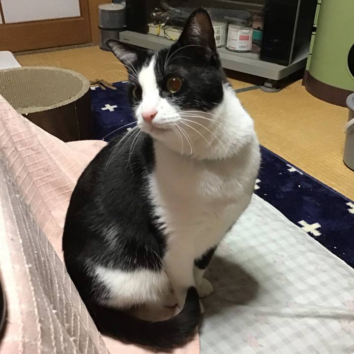 5d1982f8 4e24 49e9 bf99 60da3dc7dc8f 1712139284760