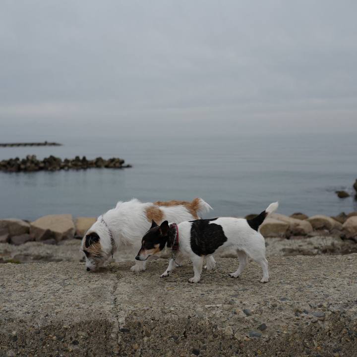 5d198391 7ff4 4699 9948 3206dad2ca6e 1554872344389