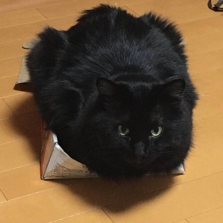 5d199a85 b2f5 4376 90d7 9700f09a5fb0 1527263548112