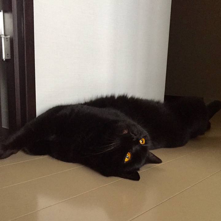 5d19b30c cff0 4d9f b831 4abc5913acf5 1561584948442