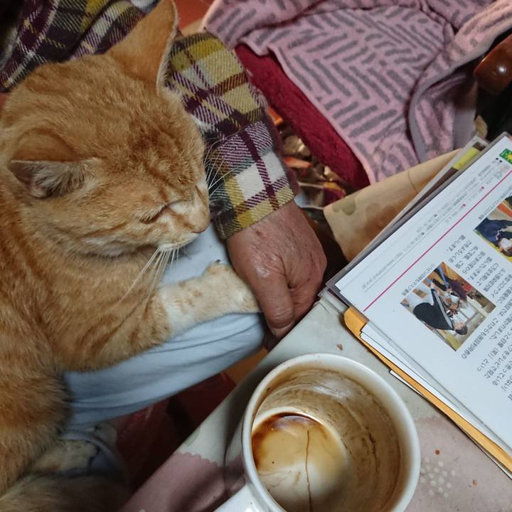 5d19d112 5401 4e94 86ba d9e644b4bb38 1590181097563