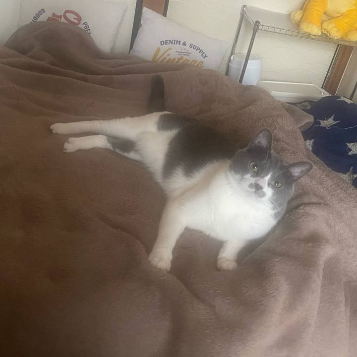 5d1a8567 98c6 4fde aa45 9601fd409a2c 1678697090023