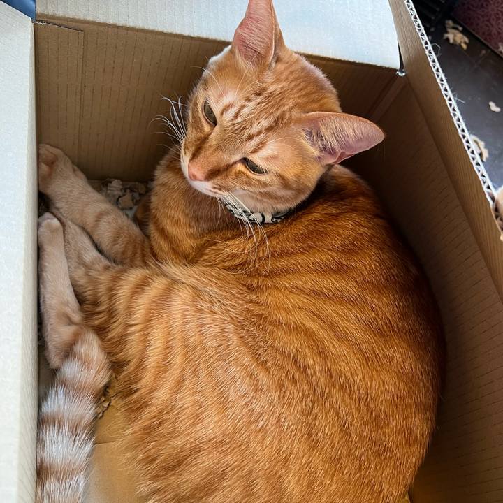 5d1a8659 96d3 4ad6 91b5 92117c5df9a5 1674788911402