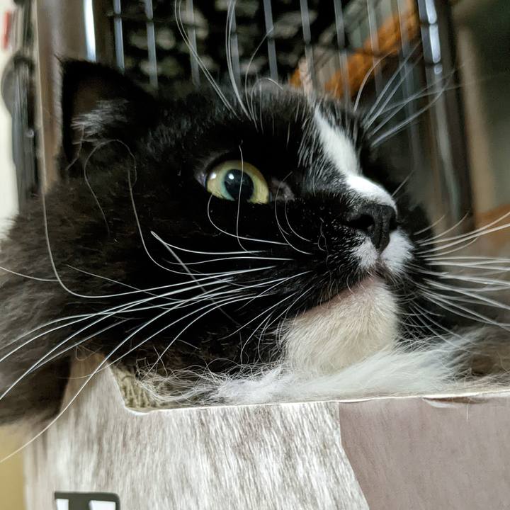 5d1a8f87 0bd1 4c3e aa92 87251274eb87 1666616094987