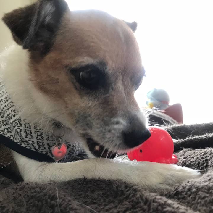 5d1af1b1 59c3 49f5 adeb 1418e74570f1 1531695729073