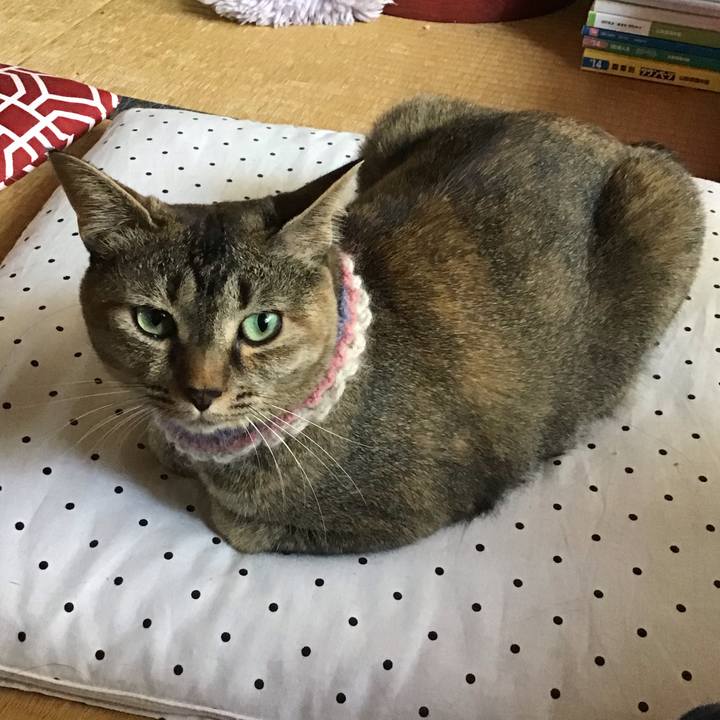 5d1b71e8 9763 4a9c 8b56 6441a6af76f8 1626667982162