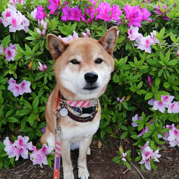 5d1b901e 5580 4120 ae22 656f45880c74 1587948756696