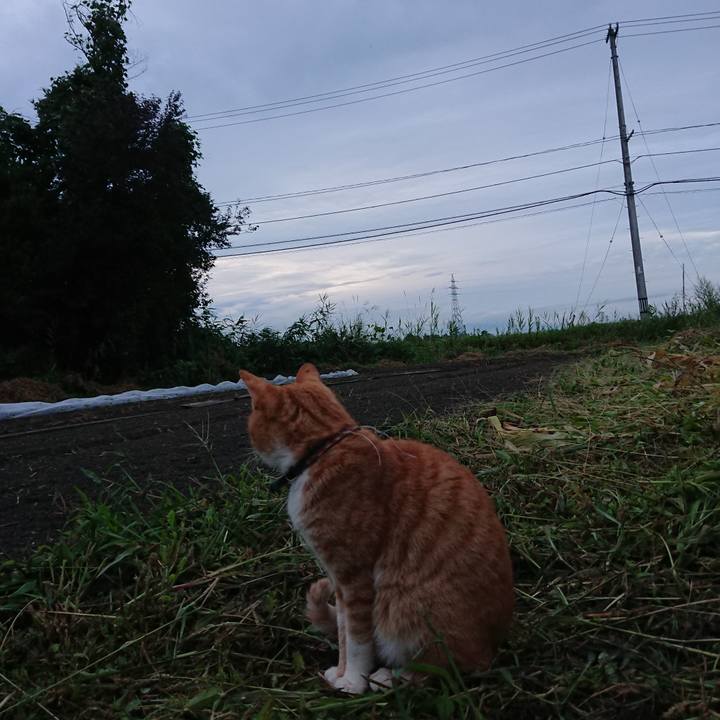 5d1b9df2 13e1 46b9 b79d 6bd7581b5170 1567501819020