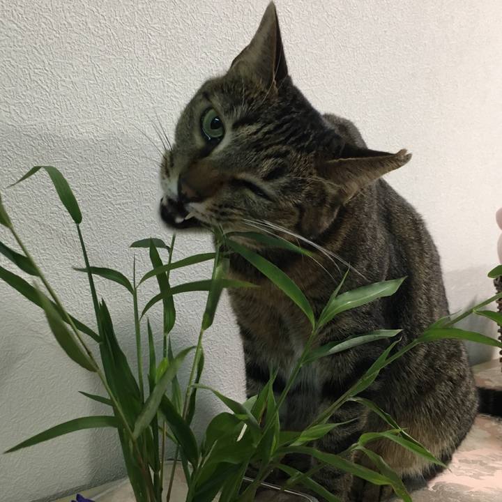 5d1b9ef5 6a28 42d7 be37 66f81992c78f 1536377567287