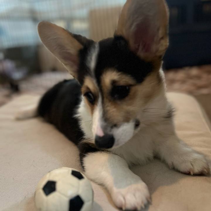 5d1bd9e7 713c 4a3c aca4 32ede67a2ec5 1772494690312