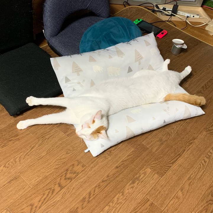 5d1bea8f 0f0f 4413 a09a f4f38992bc85 1570792601742