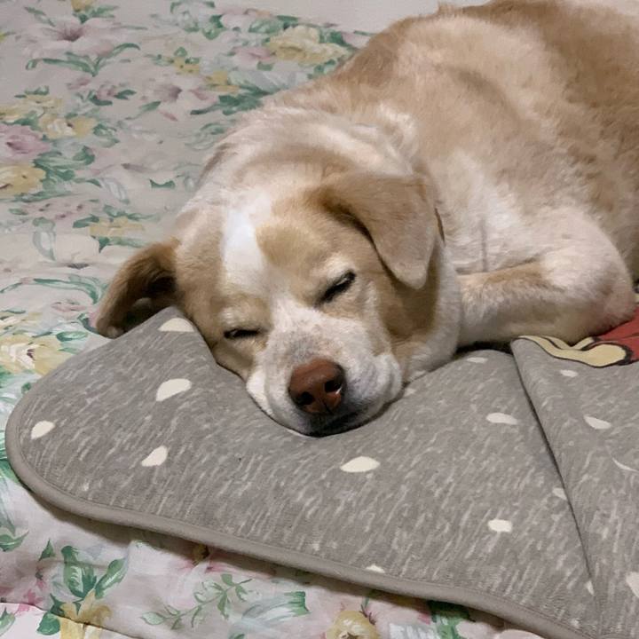 5d1c1939 3b05 47a2 bca1 ccc9afb8263d 1585065538141