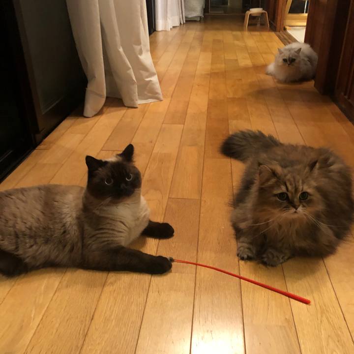 5d1c2c38 aa7b 4a5f 92a0 4679a9eac7e4 1623153921465