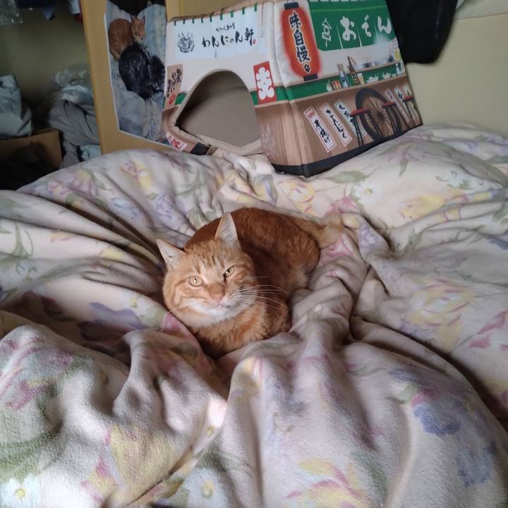 5d1c5e8a b7a8 4ba9 b30b 17c1651856f4 1686434042017