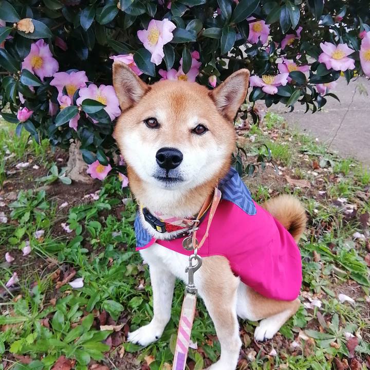 5d1c6ac9 f7fa 415a 973f 303490e60eb8 1635665456512