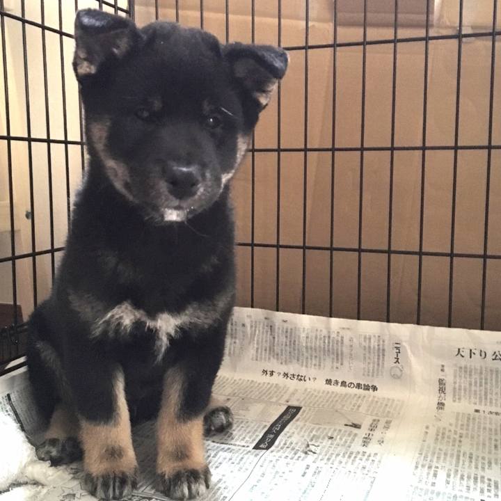 5d1c8493 22ba 4fe7 9121 f75eb3447701 1518449713867