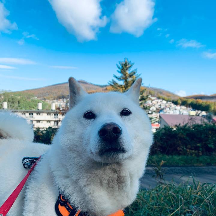 5d1c9960 645b 40fe 817f f68d14b96eac 1636089631772