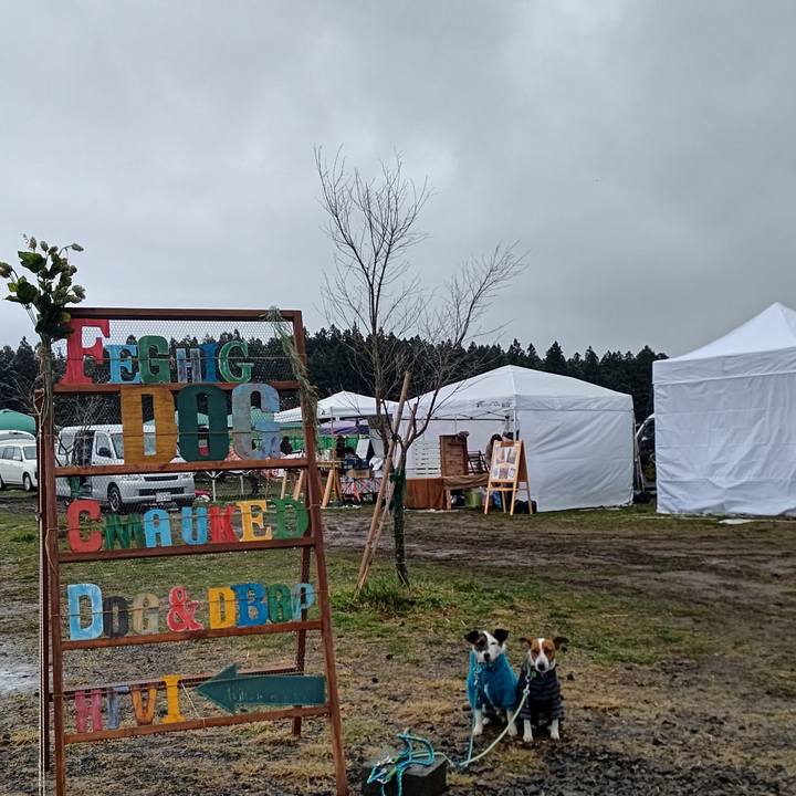 5d1cbab3 7241 4c13 82df 154b9a9e0c15 1648945895009