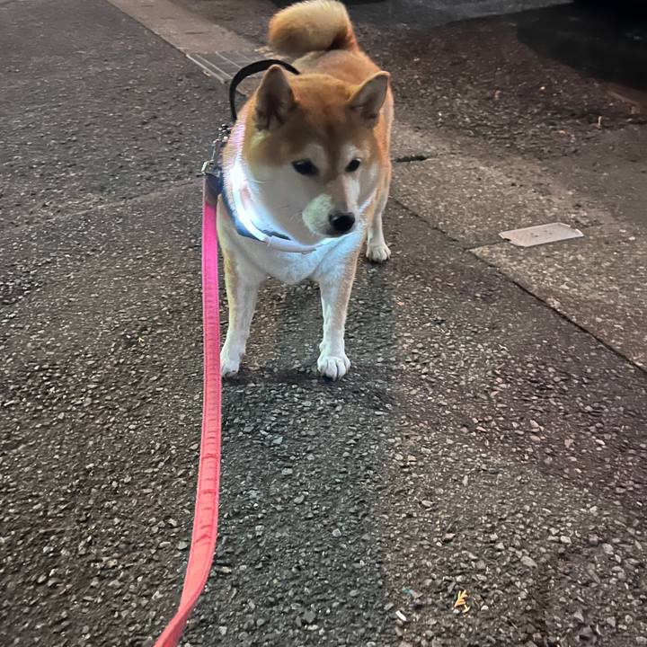 5d1cc943 6754 4b04 ac7b 1a9cb70b2476 1700559443838