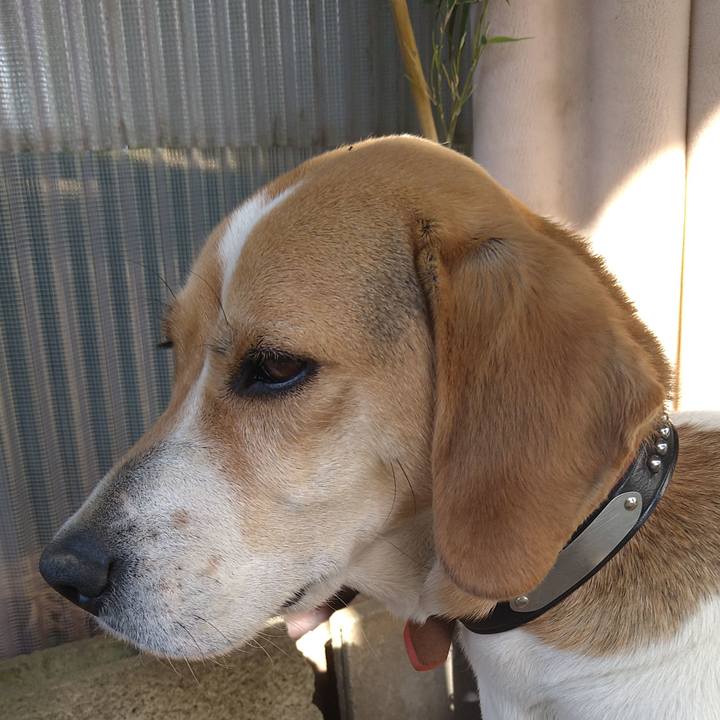 5d1d2dee 59d7 4722 abda f0d08a2a867b 1619418528409