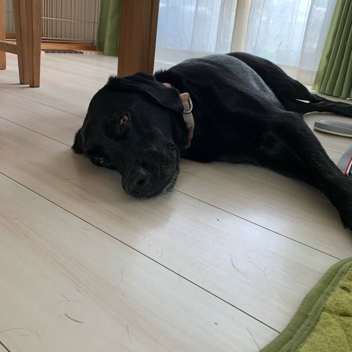 5d1d389f 512e 4a94 b966 3a6dae00e08d 1595714847050