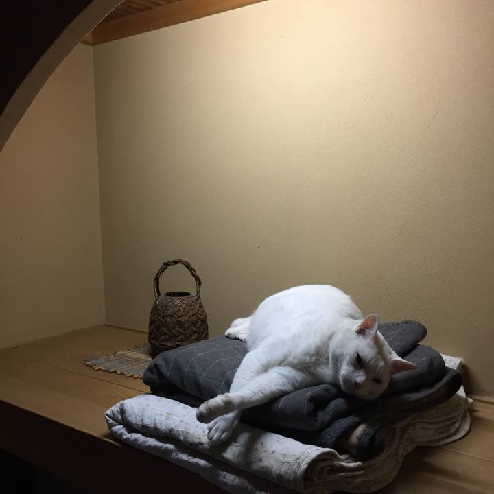 5d1d3b9a 6bc7 483e 8604 e40bfd91a76d 1562487963010