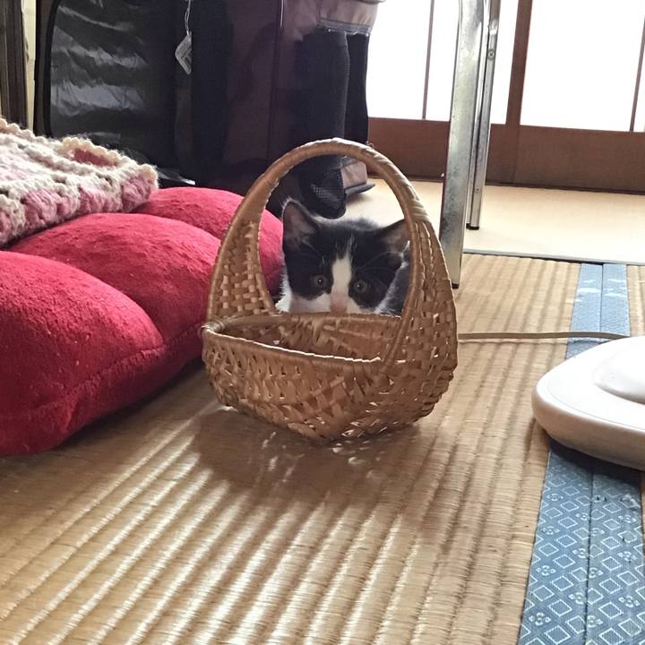 5d1d64ec 8e52 4ef1 81c5 c832669378d7 1624149539312