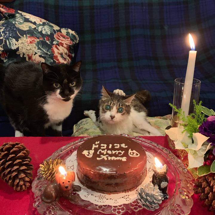 5d1d65f8 3dee 4ffc b0cb 63785de99aa7 1577194878627