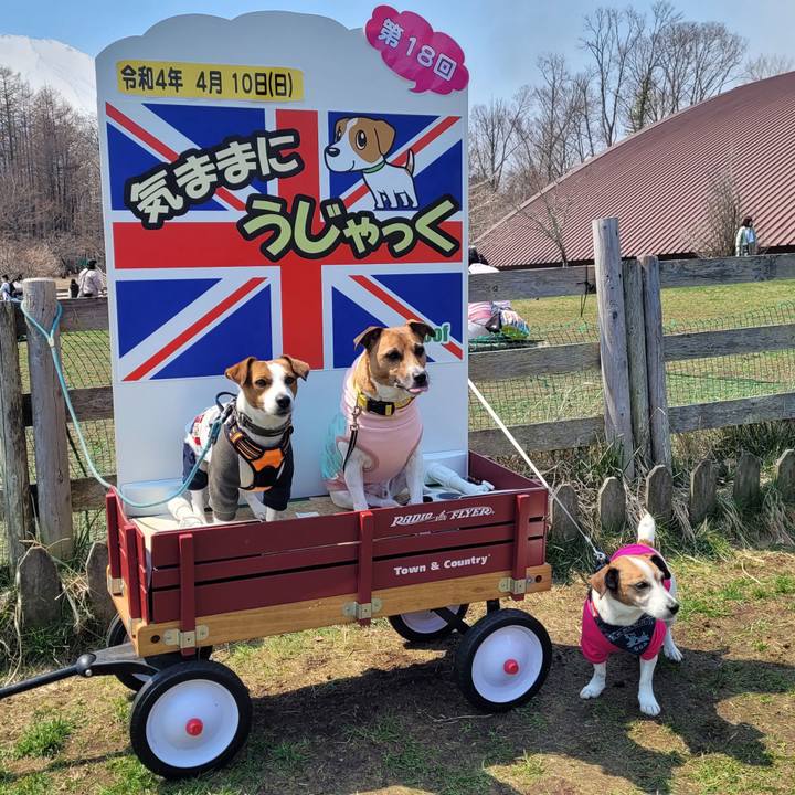 5d1d7beb a30c 48a2 ae0a 7705420e129f 1649597737130