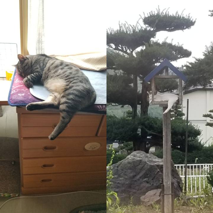 5d1dac56 2c56 4454 83f9 d74ad580e8d3 1693545783365