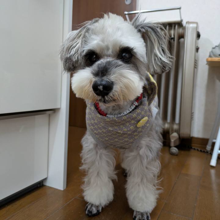 5d1dcac5 1214 46af a49f f41e1e5d4826 1762821503281