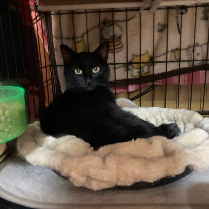 5d1de895 3c18 4154 a674 7d0bacf515ba 1706315772213