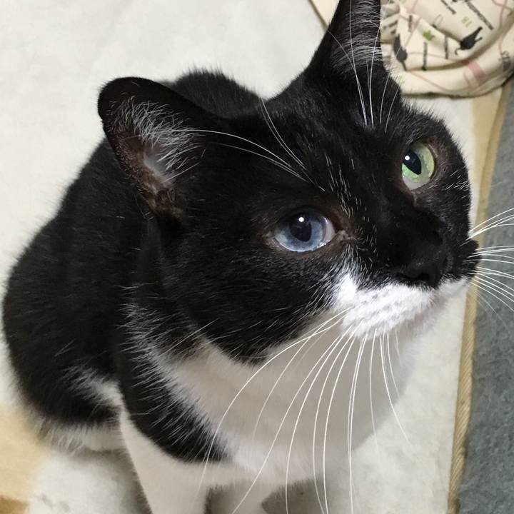 5d1df4bc 7daa 4a2e 88e7 29e691cca0da 1514712871118