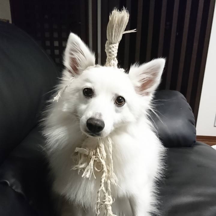 5d1e2226 bc42 4495 a62b 2c814d9c12ec 1540993590258