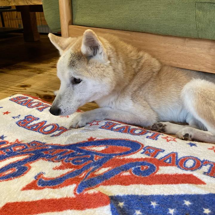 5d1e3b86 7d58 49aa 862a 2548604522f8 1599209366854