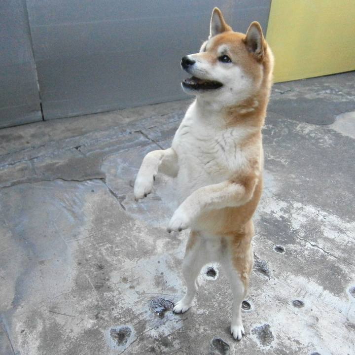 5d1e3fc2 870c 4833 943f fd5e60786238 1613464539239