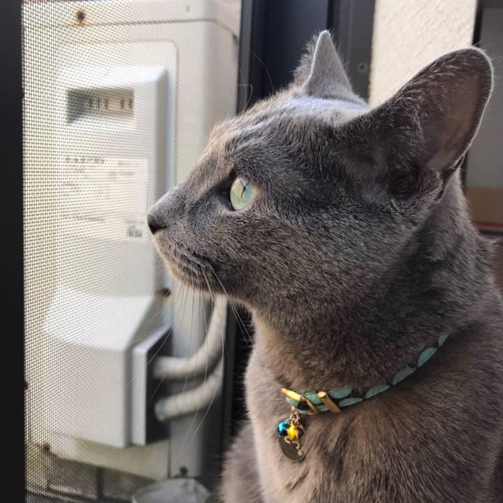 5d1e3fcd ba22 4ae4 8ab7 3bf5978ea464 1650750149079