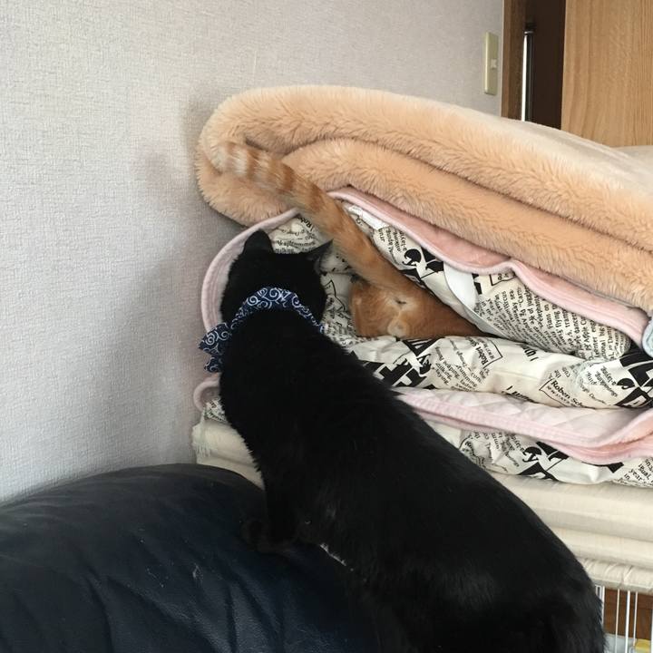 5d1e4b2d 5cfd 4c39 80c7 77b8d5c8ba7f 1546388366082