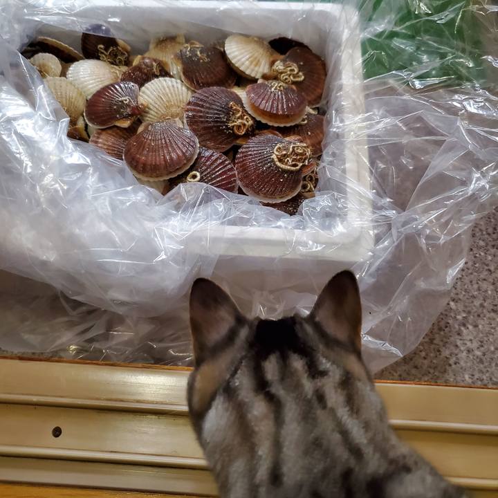 5d1e4f5b 5559 43a1 b3e4 0d23daf98128 1717557170140