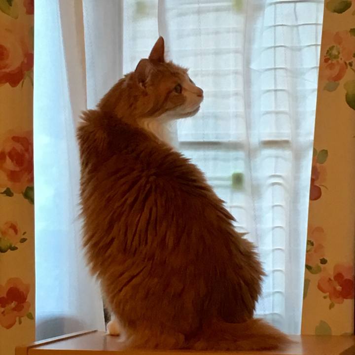 5d1e5a01 f465 43b7 bdd6 a18cbea43355 1568622633358