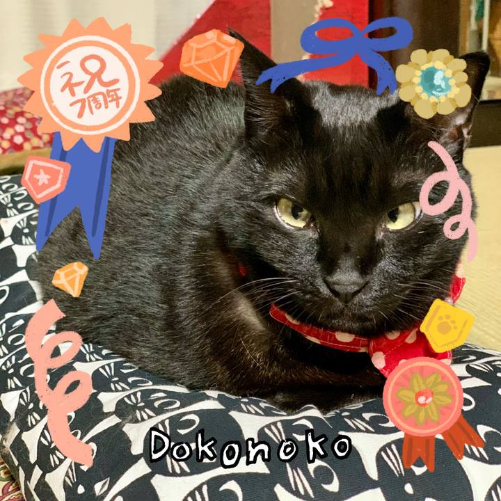 5d1e72a8 ca94 4e05 8ccd 7595762ec58c 1685933177163