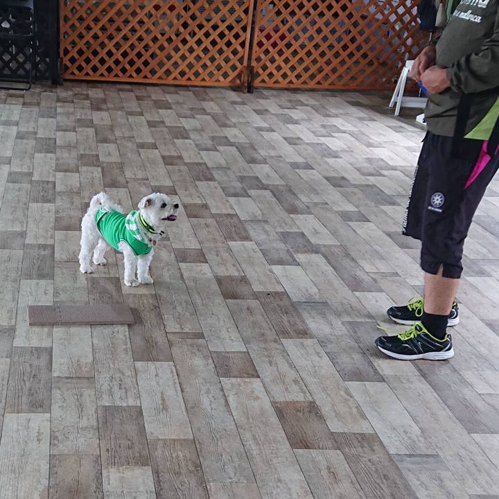 5d1ea462 cc2c 400e b041 33c3765cf523 1590925815158