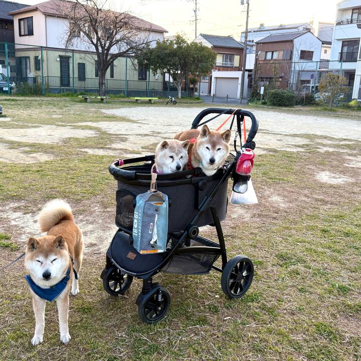 5d1eb91d 74ed 4cd8 b420 1561aa5b21aa 1774020711882