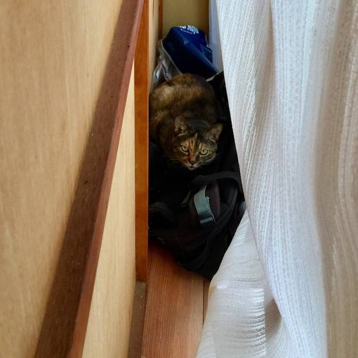 5d1ebd59 b201 42b3 94a0 7c91010a2320 1537074488558