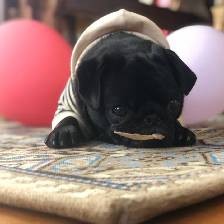 5d1ec0ea d2aa 4a18 935e 198783a61b12 1617003866348