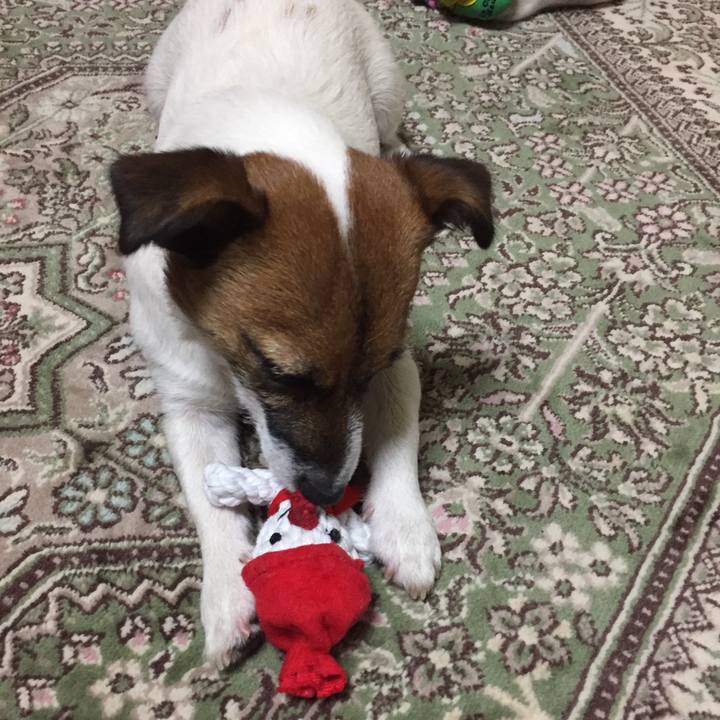 5d1ef8d1 5983 4199 9be4 965432af3b7c 1514116835139